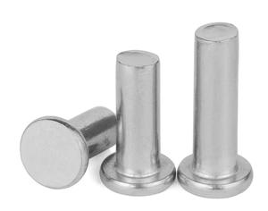 Rivets pleins en acier inoxydable 304 316 plaqué zinc blanc jaune, rivets pleins en acier au carbone 1/4 x 1/2, rivets pleins <span class=keywords><strong>à</strong></span> tête plate M10 en acier inoxydable - Product Image 6