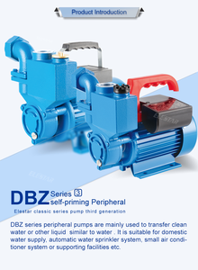 Petite pompe à eau portative DBZ périphérique, auto-amorçante, en laiton et acier inoxydable, conforme RoHS, stator 40-80mm DZB P - Product Image 4