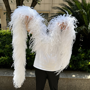 2 mètres/<span class=keywords><strong>lot</strong></span> <span class=keywords><strong>Plumes</strong></span> d'autruche naturelles teintées, boa 1, 6, 10, 20, 35 plis, garniture blanche <span class=keywords><strong>de</strong></span> haute qualité pour mariage, carnaval, vêtements, couture - Product Image 5