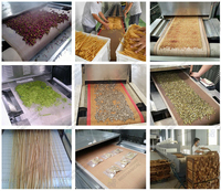 Séchoir industriel à micro-ondes pour noix de cajou, stérilisateur d'amandes, machine de stérilisation des pistaches et des pignons de pin