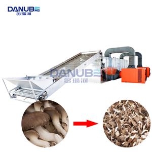 Leading Technology Mesh Belt Dryer Vegetable Drying Machine Mushroom Cleaning and Drying Equipment Vegetable Dehydration Machine - Product Image 1