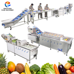 เครื่องล้างผักผลไม้สแตนเลสอัตโนมัติ FENGXIANG สำหรับโรงงานแปรรูปเชิงพาณิชย์ - Product Image 1