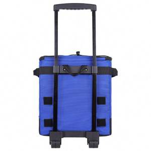 Bolsa Térmica Reutilizable Personalizada 2024, Bolsa Térmica de Gran Capacidad de 43L, Bolsa Térmica Impermeable para Picnic y Viajes con Asa Extraíble - Product Image 5