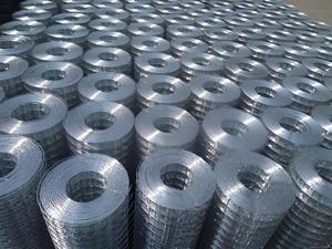 Lưới thép mạ kẽm cho chuồng gà trang trại hàng rào lỗ vuông hàn đồng bằng dệt tùy chọn cắt kim loại uốn bao gồm - Product Image 6