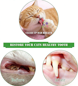 Giocattolo Spazzolino per Gatti, Pulizia a 360 Gradi, Gomma Dura Resistente, Giocattolo Interattivo con Erba Gatta per Animali Domestici, Spazzolino per Cani, Vendita all'Ingrosso - Product Image 4