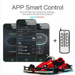 <span class=keywords><strong>Karting</strong></span> Eléctrico Premium de Venta Caliente, Nuevo Diseño, Durable, para Uso Comercial en Actividades de Alquiler - Product Image 5