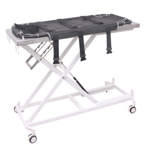 AEOLUS FT-835 Table de transport vétérinaire légère pour le sauvetage de grands animaux et les hôpitaux pour animaux de compagnie - Product Image 2