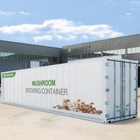 Ferme hydroponique verticale, culture de laitue, de champignons, de safran, conteneur d'expédition aéroponique avec électricité solaire