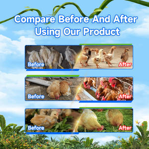 Çin malezya yem sınıfı takviyeleri a vitamini Amino asitler vitaminleri mineraller karaciğer tontonic kümes hayvanları için toz formunda - Product Image 4