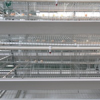 Équipement d'élevage avicole automatique, cage à poules pondeuses de type H à 3/4/5/6/8 niveaux avec système de collecte automatique des œufs pour 50 000 oiseaux