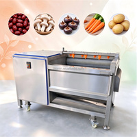 Machine à éplucher le gingembre haute performance en acier inoxydable, machine à nettoyer le manioc 300 kg/h, équipement pour retirer la peau des carottes