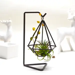 Air Plant Houders Zwart Anti-Roest Metalen Air Plant Stand Moderne Geometrische Stijl Air Plant Tafel Houder