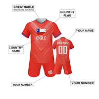 Camiseta de Fútbol para Niños en Oferta, Transpirable, de Poliéster, Cuello en V, Secado Rápido, Elástica, Versión para Jugadores, para Adolescentes, Niños y Niñas, Personalizable