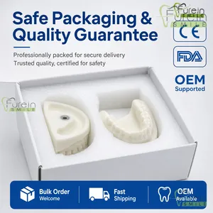 Modèle dentaire en plâtre avec base en acier inoxydable, modèle d'étude typodont blanc pour la formation et la démonstration en orthodontie - Product Image 6