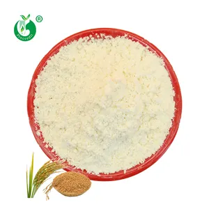 Pincreddit 공급 무료 샘플 쌀 밀기울 추출물 98% 페럴산 분말