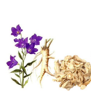 Grosir makanan kelas 100% murni <span class=keywords><strong>Platycodon</strong></span> Grandiflorum ekstrak akar bubuk Herbal kemasan 1kg Drum - Product Image 3