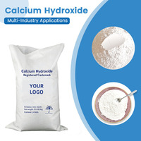Hydroxyde de Calcium Alcalin Fort en Poudre Fine, Pureté 90%, Chaux Hydratée pour Stérilisation et Traitement de l'Eau