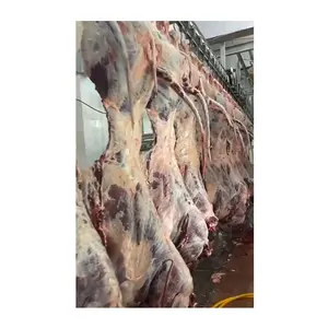 Thịt bò Nghi Lễ Halal bò abattoirs máy móc chìa khóa trao tay giết mổ nhà dòng với gia súc abattoir thiết bị