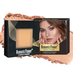 Nouvelle conception, poudre pressée pour le visage, 3 couleurs, fini mat, imperméable, pour tous types de peau, avec un miroir et un éponge - Product Image 5