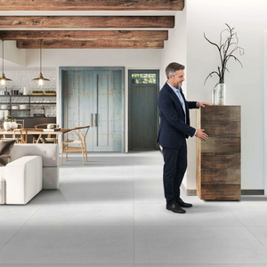 Edgar White Micro Cement Porcelain <b>Tiles</b> 24x48 Inch Matte Floor Wall Collection - Product Image 6
