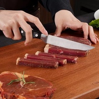 Klassieke steakmes van roestvrij staal met geborstelde afwerking en zacht kunststof handvat voor het snijden van fruit en groenten, klassieke keuken.