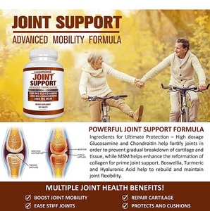 Özelleştirilmiş ortak destek takviyesi glukozamin kondroitin zerdeçal Msm tabletleri - Product Image 2