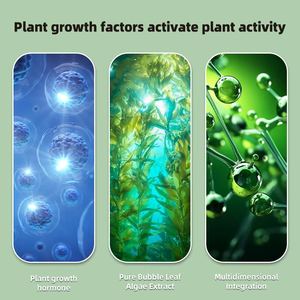 Organische Vloeibare Meststof Geconcentreerde Zeewier Extract Meststof Voor Het Rooten Van Zaailing Groei Fruit Promotie Bloeiende Grond - Product Image 3