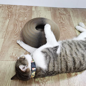 2022 Baru Datang Lucu Kucing Scratcher Kardus Lipat Fleksibel Musim Semi Bergelombang Kucing Peliharaan Menggaruk Pos untuk Kucing - Product Image 5