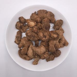โรงงานเสี่ยวอี๋ฉาง ขายตรงสมุนไพรจีนโบราณ ขิงแห้ง (Zingiberis Rhizoma Praeparatum) ผ่านกระบวนการอบแห้ง - Product Image 1