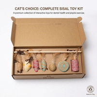 Ensemble de jouets interactifs pour chat : baguette en bois avec têtes interchangeables, plumes et corde en papier