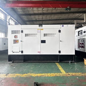 Generador Coreano Súper Silencioso de Etapa V de 20kw, 25kw, 40kw, 50kw, 100kw, 200kw, 50/60Hz, Original con Certificación CE, WTH-20GF, Generador Hyundai - Product Image 3