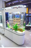 Aquarium de luxe moderne en forme de balle ovale avec meuble à chaussures et écran en verre, capacité 500L, fonctionnement intelligent, pour salon