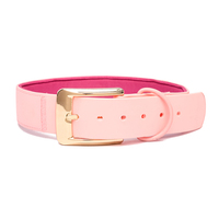 Neues Design OEM Custom PVC mit PU wasserdichter Hunde leine für große große Hunde verstellbare PVC-Haustier leine mit Frosch clip