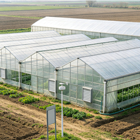 Serre Agricole Commerciale en Verre pour Légumes et Fleurs – Serre à Arches pour Jardin – Offre Spéciale