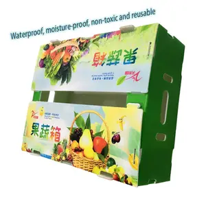 Hot Selling 125*125*35 mm Small Clear disposable Foldable Food Clam shell PP Corrugated Storage Packaging Box Supplier