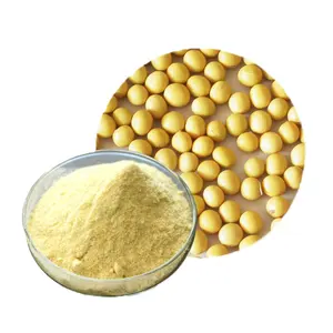 Lécithine de soja en vrac en gros poudre de lécithine de soja biologique de qualité alimentaire 98% au meilleur prix