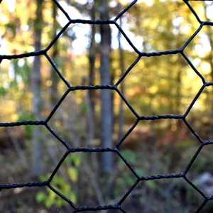 Malla de Alambre Hexagonal Galvanizada de Alta Resistencia para Camarones, 260g/m2, Recubrimiento de Zinc para Acuicultura Marina y Pesca - Product Image 5