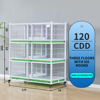 Cage de nidification pour pigeons, cadre de volière pour pigeons de course, vitrine de magasin, fil de fer, boîte de nidification haut de gamme, offre B2B