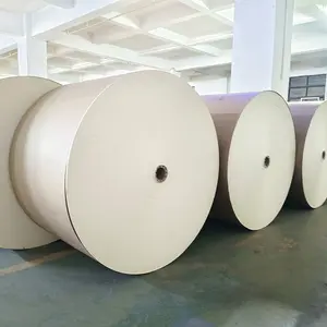 Fournisseur d'usine Papier couché PLA en rouleau pour conteneur d'emballage alimentaire Gobelet en papier matières premières rouleau de gobelet en papier enduit pe