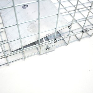 Good Quality Human Wire Mesh Animal Cage <strong>Trap</strong> Hunting <strong>Collapsible</strong> Live Wild Animal <strong>Trap</strong> for <strong>Squirrel</strong> Rabbit Raccoon Cat Dog - Product Image 3