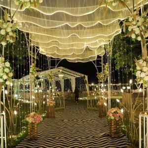 Wedding <b>Ceiling</b> Decoration Led Curtain S Shape Net Cloth <b>Ceiling</b> Drapes Decoration LED Strips Wedding <b>Ceiling</b> Light Decorations - Product Image 2