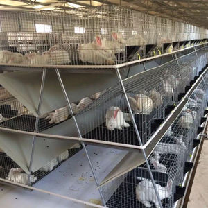 Cage à lapin commerciale cage à lapin agricole complète cages à lapin afrique du sud - Product Image 6