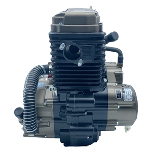 Usine OEM, tricycle à essence à trois <span class=keywords><strong>roues</strong></span> personnalisé Zongshen Jinzhan 250cc, refroidi par eau, adapté au transport de marchandises - Product Image 2