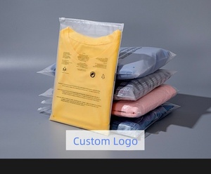 Free Sample Custom White Matte Frosted Zip Seal Ziplock PlasticPackaging Bags for <b>Clothes</b> <b>Storage</b> Space Saver Plastic Bag - Product Image 1