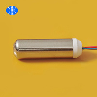 Moteur vibrant miniature 725 5V 16000RPM 7*25MM pour appareils de beauté et vibrateurs sexuels, vente directe usine, MOQ 10 pièces