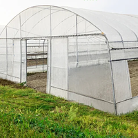 Serre agricole commerciale compacte en PE avec film PE 120 microns, système hydroponique, profilés Poly Lock, structure stable et facile à assembler