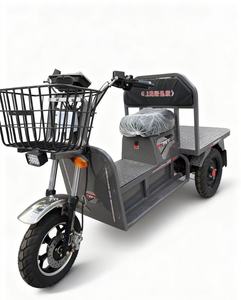 Tricycle électrique agricole à usage domestique, camion de transport lourd, type carrosserie ouverte, capacité de charge de <span class=keywords><strong>300</strong></span> à 400 kg, vitesse de 30 à 50 km/h - Product Image 1