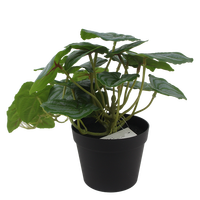 Senmasine 50cm Plantes artificielles vertes, fausses feuilles de pastèque pour la décoration de la maison, du bureau, de la table, des étagères et à suspendre