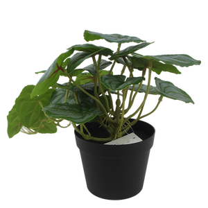 Senmasine 50cm Artificial Greenery Green Fake Small Watermelon Leaves <strong>Plants</strong> for Home Office Table <strong>Shelf</strong> Hanging Decoration - Product Image 3