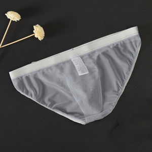 Sous-vêtements Triangle en Maille <span class=keywords><strong>Transparente</strong></span> pour Hommes Sexy See Through Respirant Low Rise Triangle Panties Male Intimate <span class=keywords><strong>Lingerie</strong></span> Elastic - Product Image 6